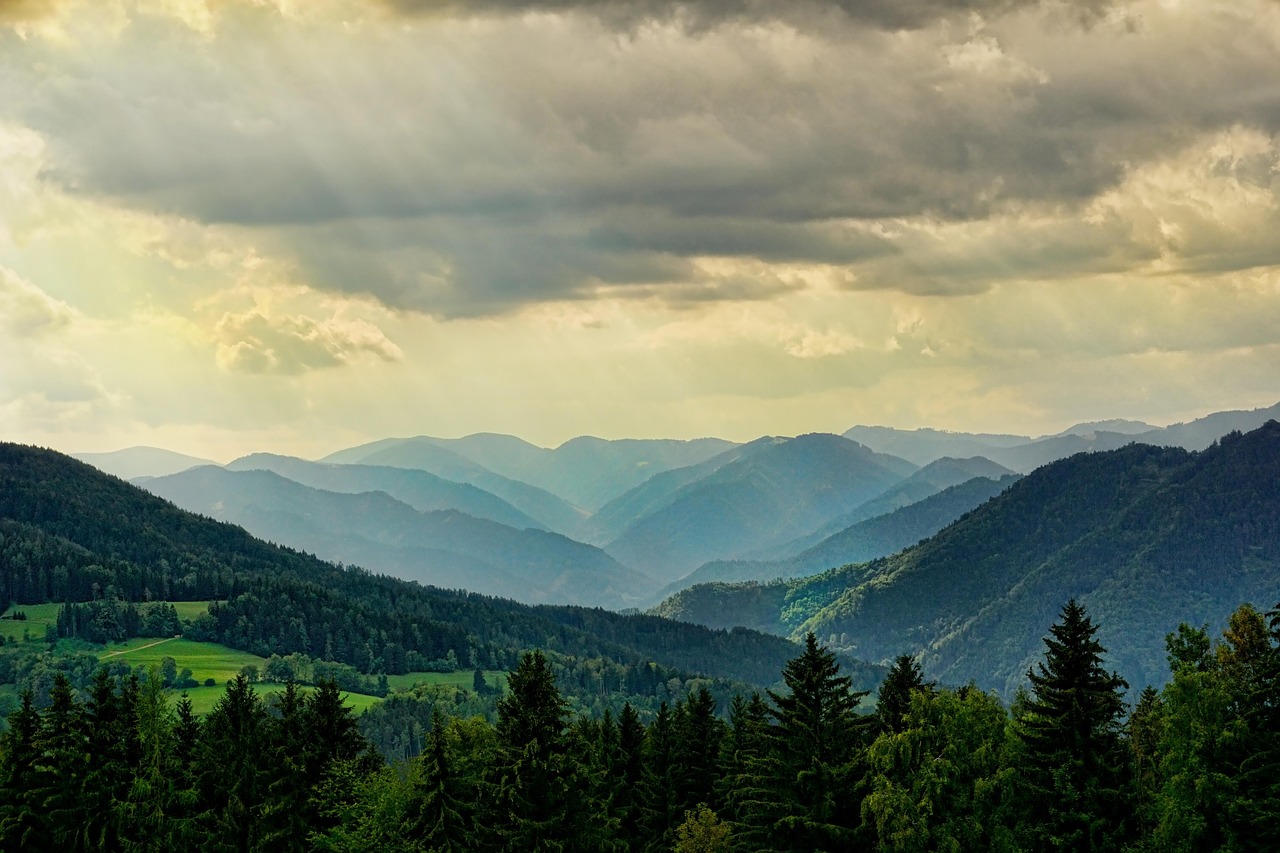 Rolling green hills and dense beech forests under a bright summer sun.
