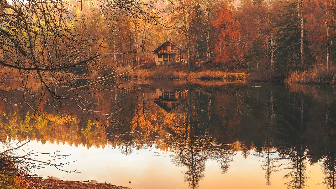 A traditional log cabin house surrounded by pine trees on the edge of a calm lake.