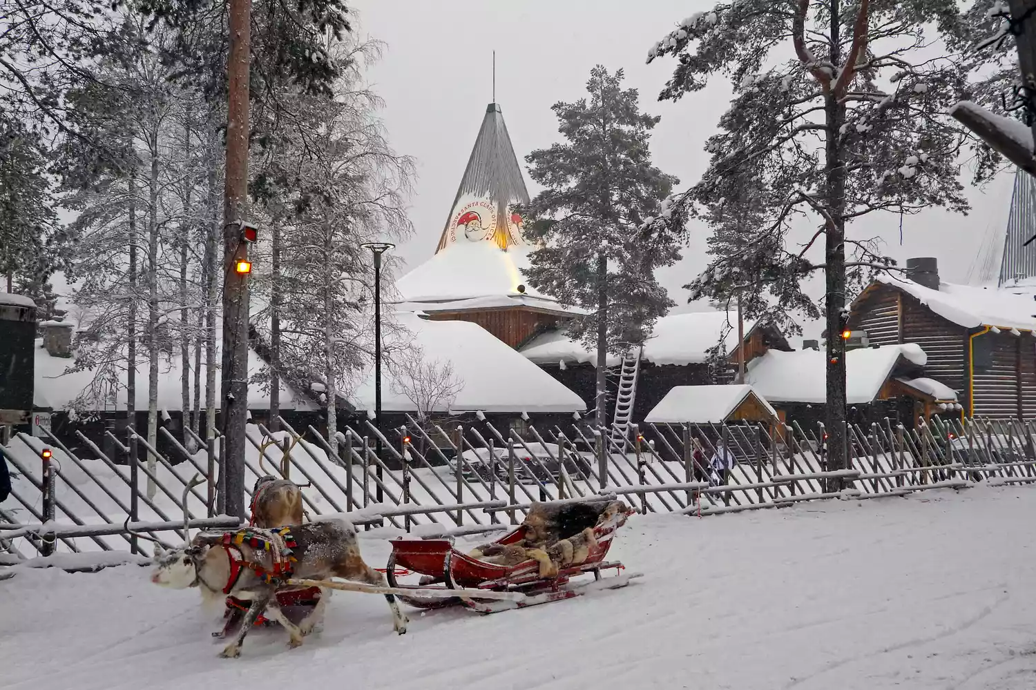A reindeer standing in the snow at Santa Claus Village in Rovaniemi.