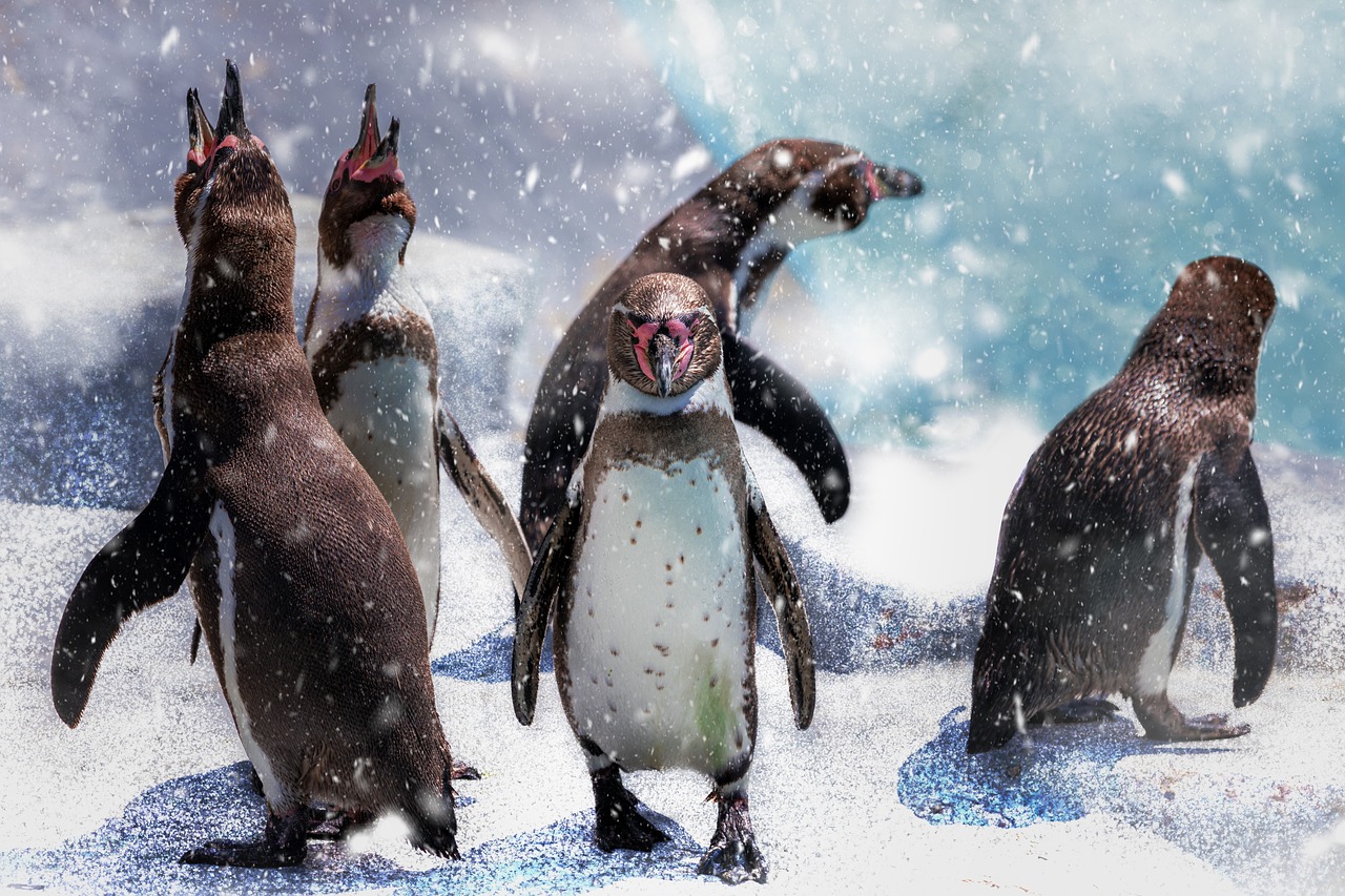 A group of penguins on an iceberg with snowy mountains in the background of Antarctica.