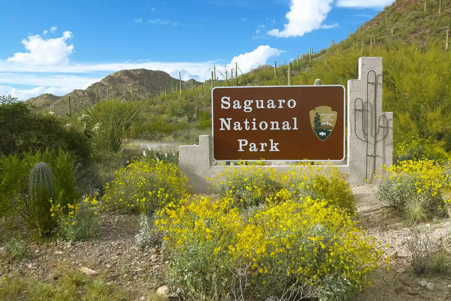 The official brown wooden entrance sign for Saguaro National Park.