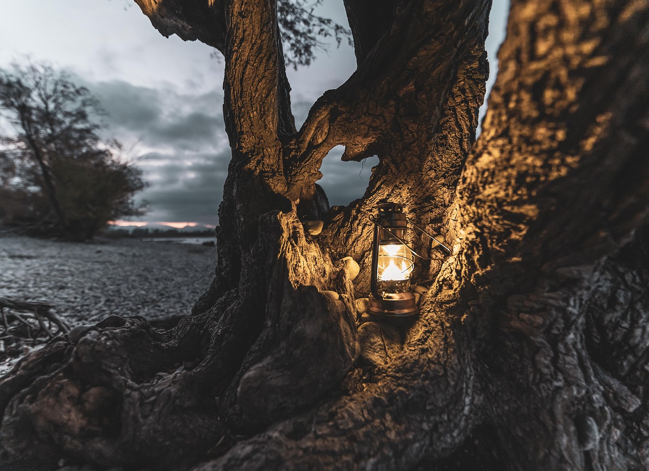 Vintage safari artifacts including binoculars and a lantern in a luxury tent.