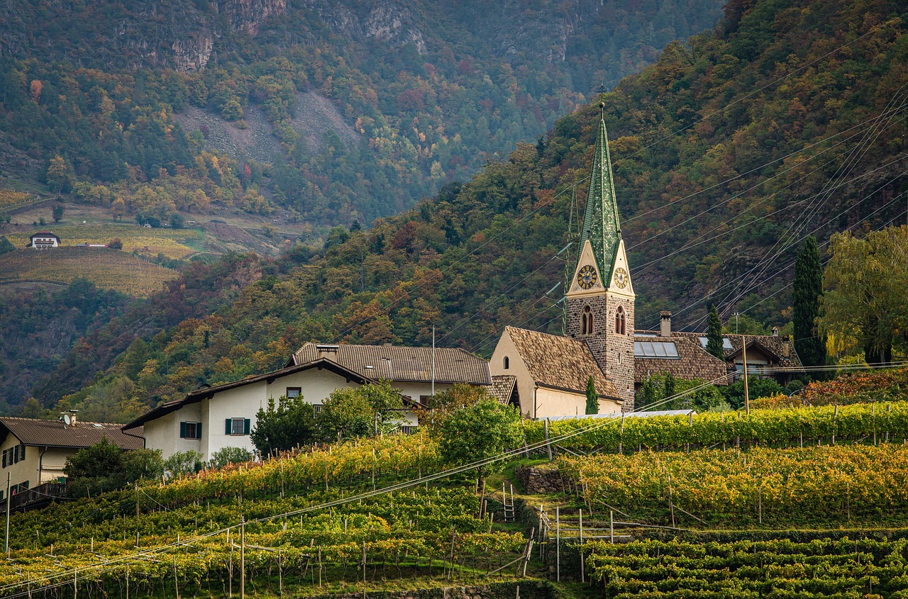 Rolling green hills covered in neat rows of grapevines in the Barolo wine region.