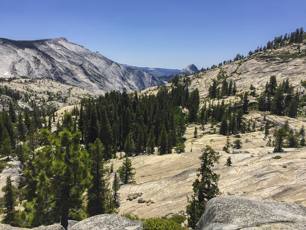 The massive granite walls of Yosemite Valley seen through pine trees.