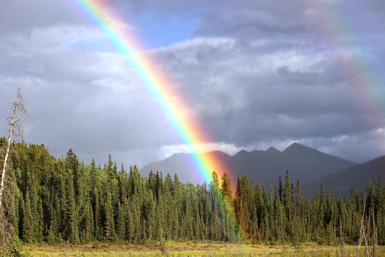 A vibrant rainbow appearing over a long stretch of road after a storm.