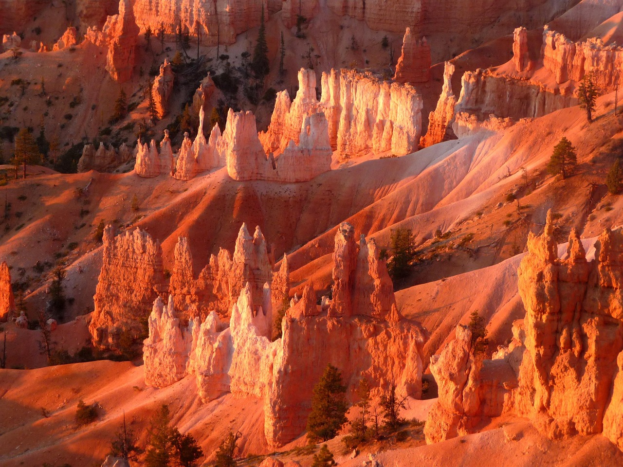 A lonely hiking trail winding through a vast landscape of white and orange hoodoos.