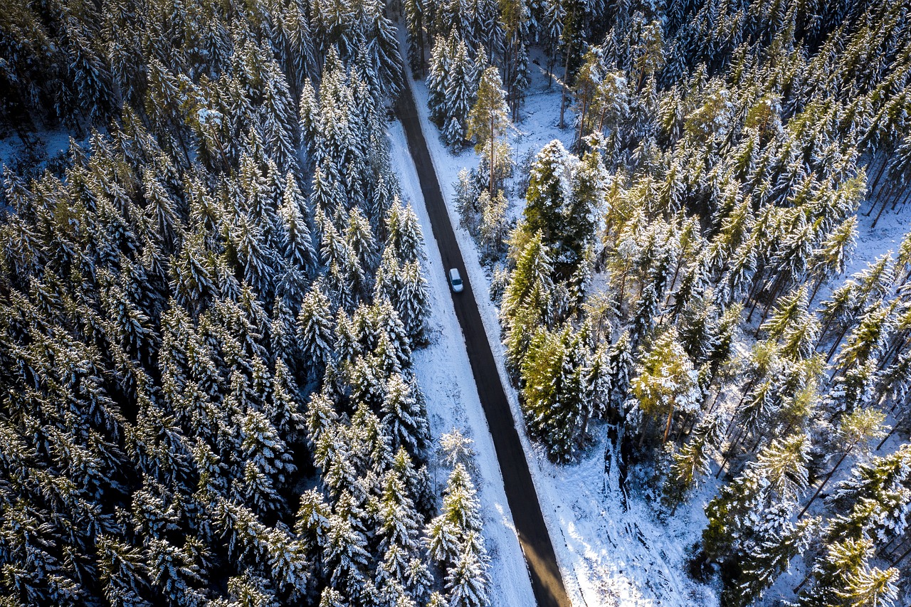 View from a train window looking out at a dense forest covered in deep snow.