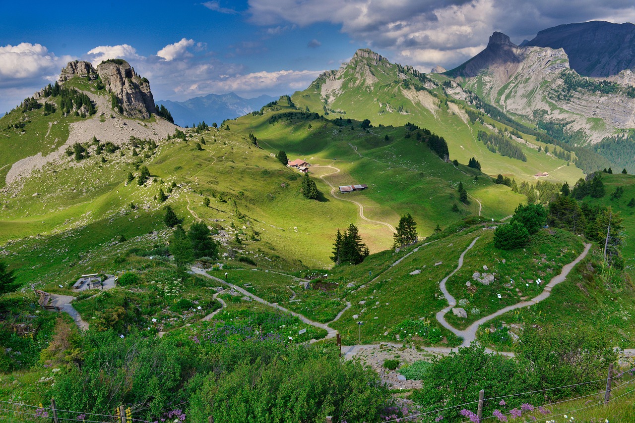 A family hiking on a lush green trail with the Swiss Alps and a blue lake in the background.