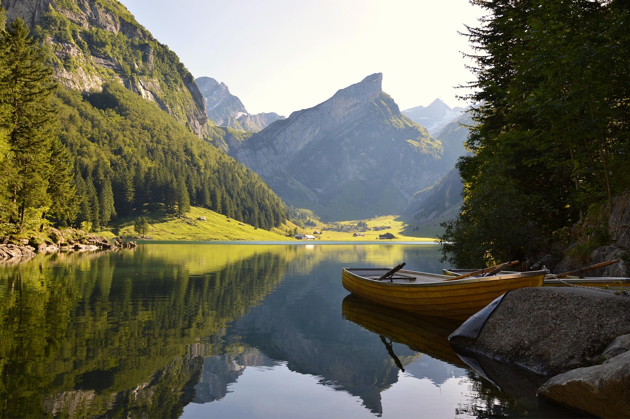 A serene lake reflecting evergreen trees and a clear sky