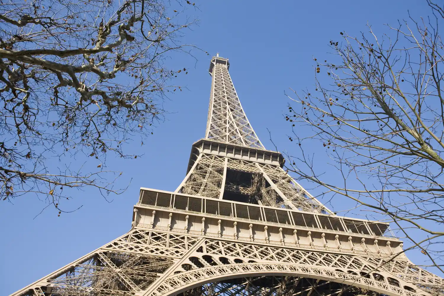 The Eiffel Tower in Paris viewed through bare winter tree branches.