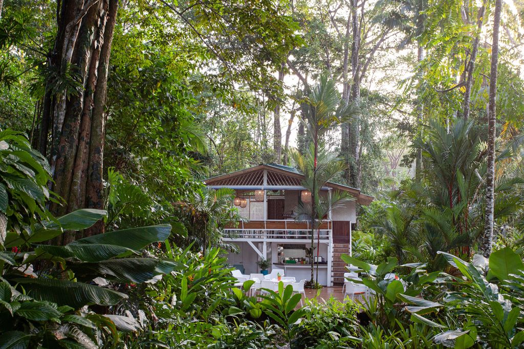 A garden view of Hotel Aguas Claras featuring lush tropical blooms and traditional clapboard beach cabanas.