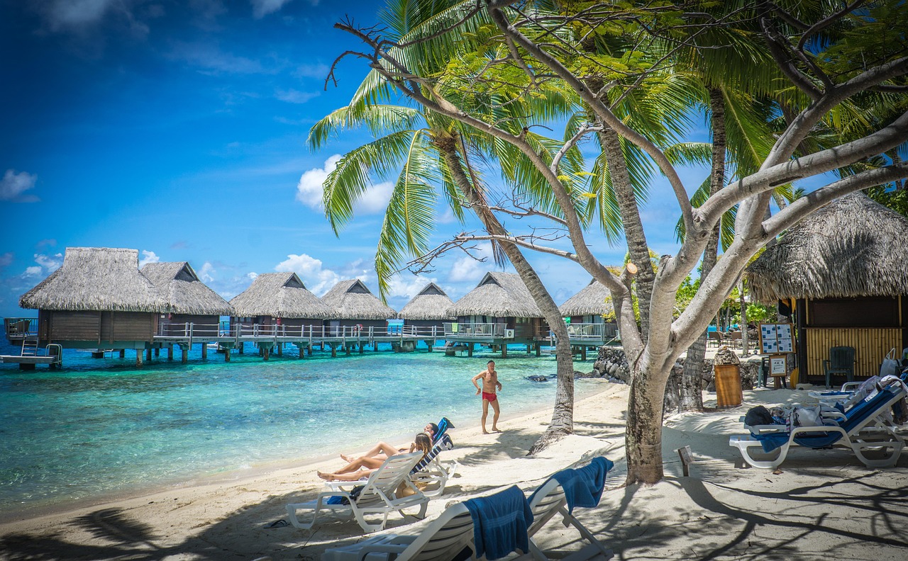 A serene beach in New Caledonia with turquoise water and leaning palm trees.
