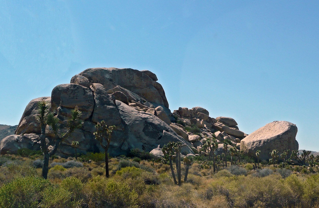 A large rock formation resembling a human skull