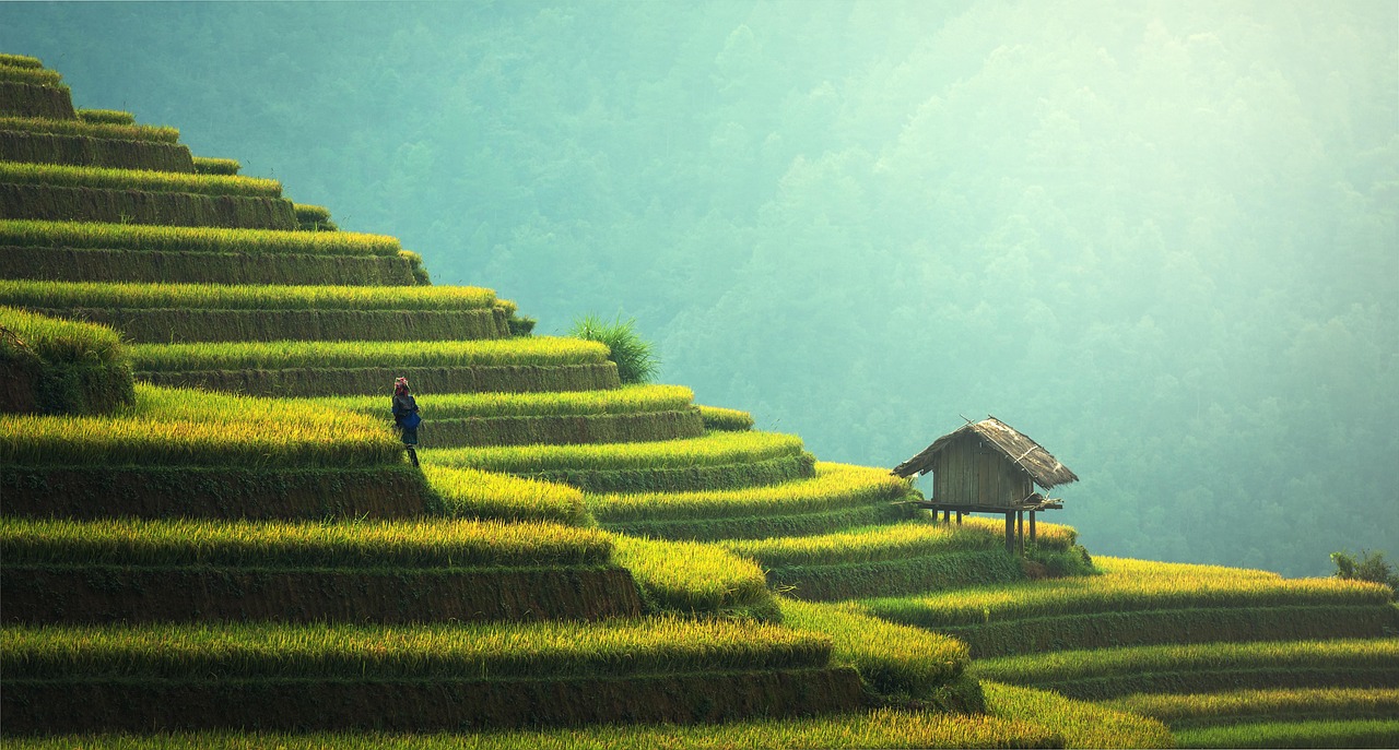 Aerial view of the green Tegallalang rice terraces in Ubud, Bali.