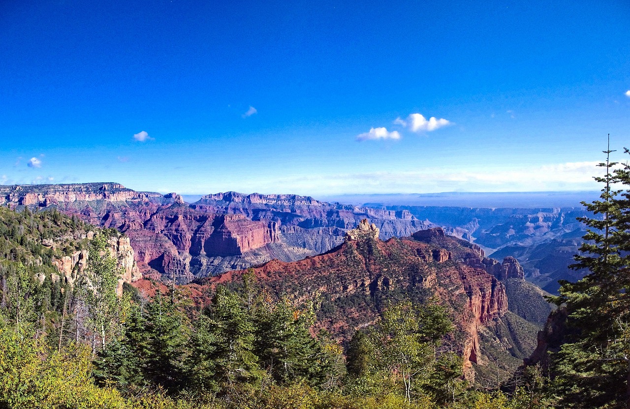A scenic view of the Grand Canyon North Rim with evergreen trees in the foreground.
