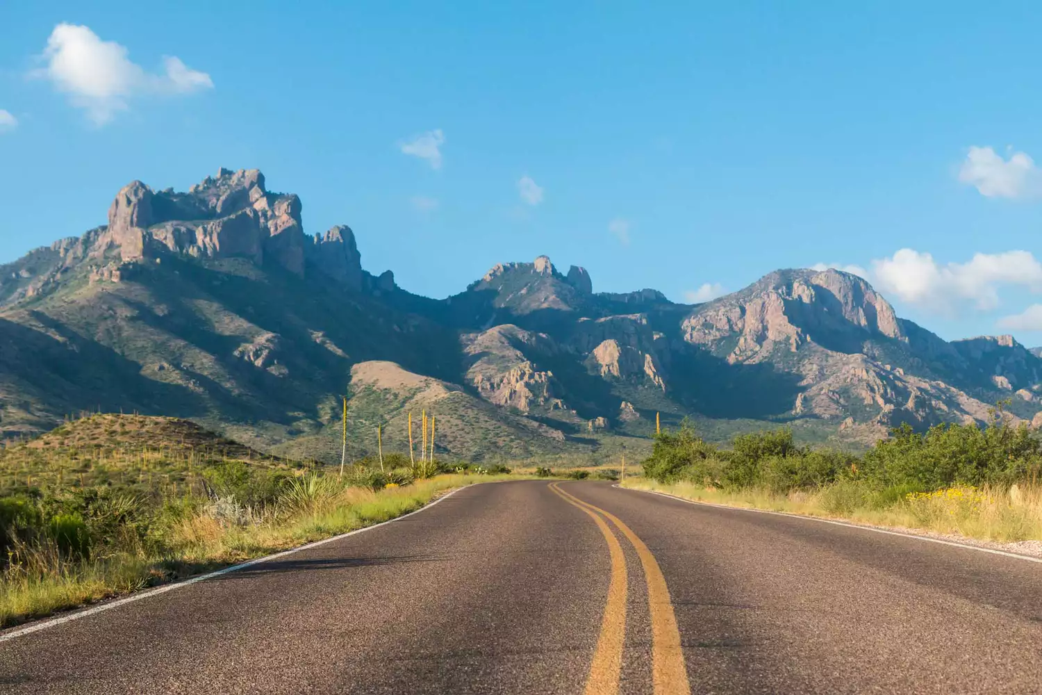 A panoramic landscape view of Big Bend National Park showing mountain ridges and desert flora.
