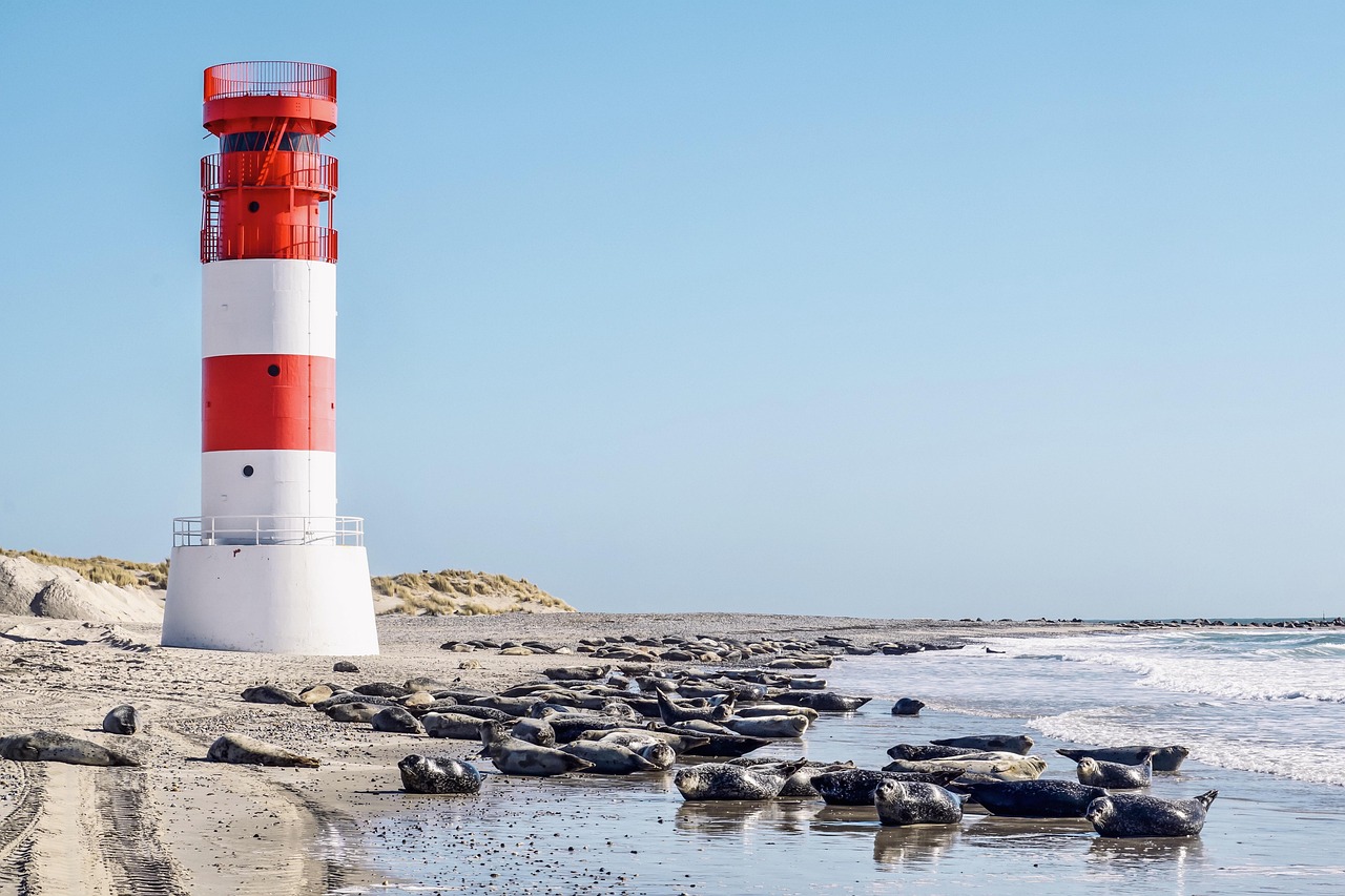 Abandoned concrete WWII bunkers partially buried in the sand of a windy Danish beach.