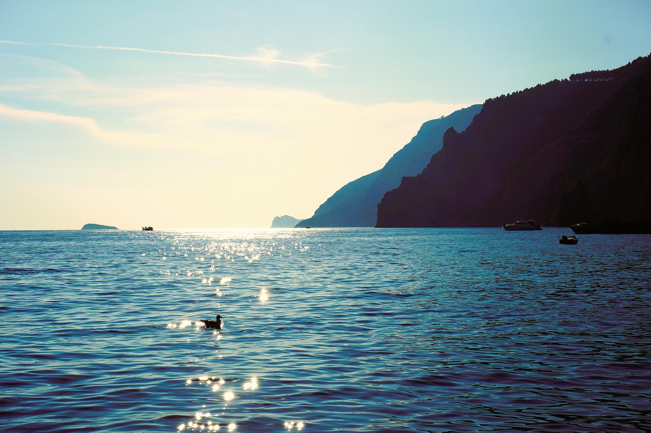 A sunset view over the Amalfi coast with lemon trees in the foreground