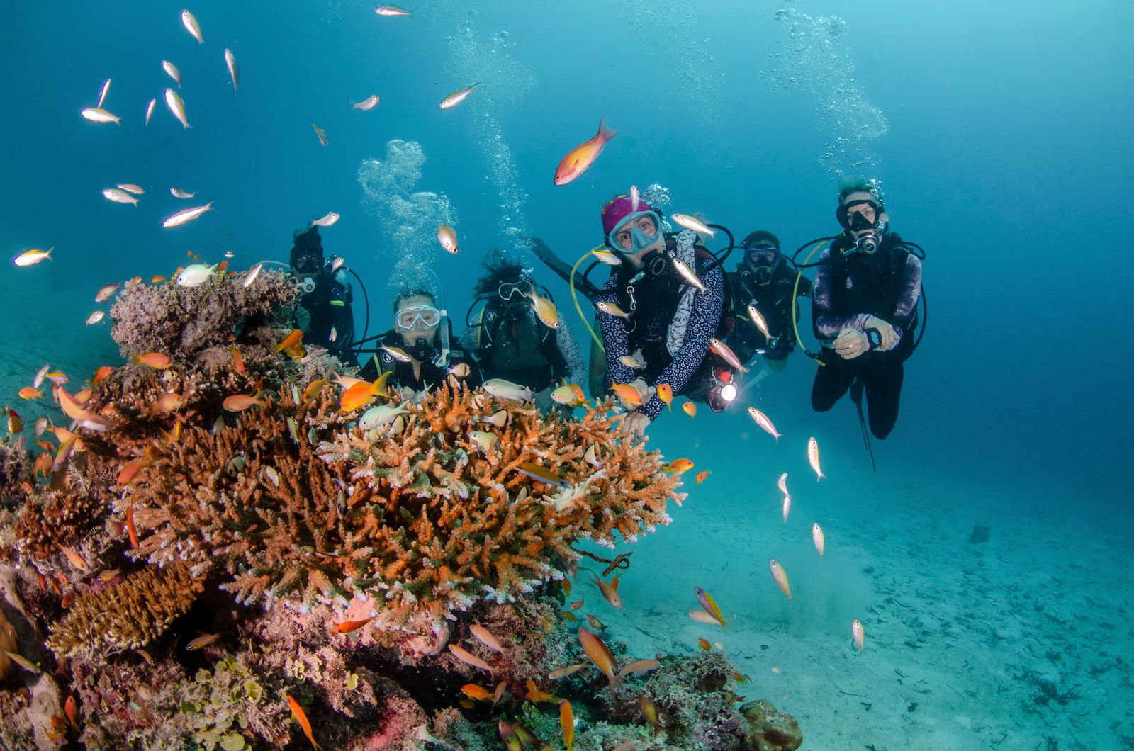 A scuba diver swimming through a school of fish in clear ocean water.
