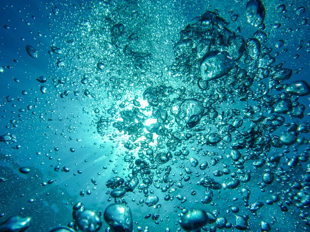 Deep blue harbor water with ripples