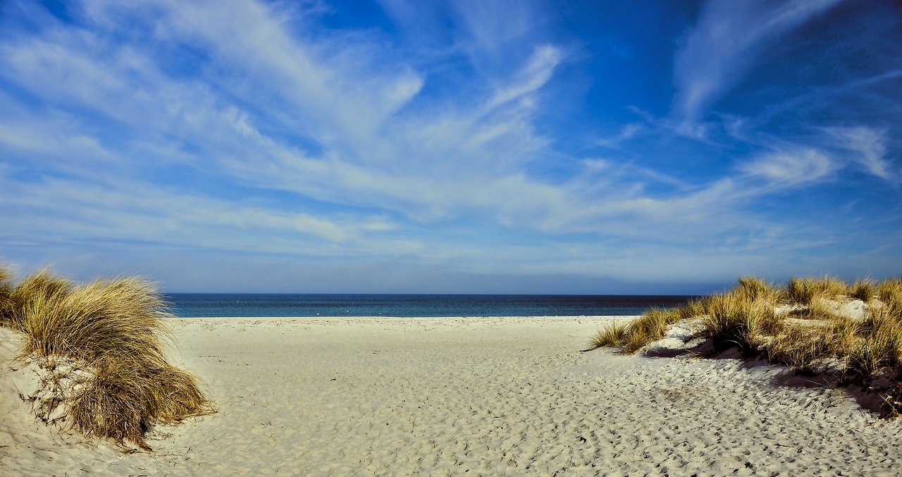 Wild sand dunes with coastal vegetation and a clear blue sky at sunset.