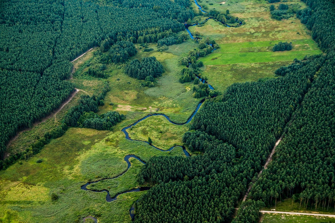 An aerial view of the lush green rolling hills of the Northern Rivers hinterland meeting the Pacific coast.