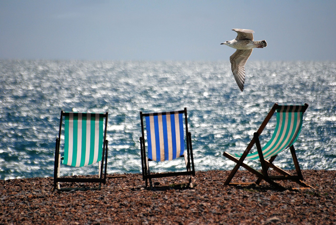 Colorful beach chairs on a calm sandy beach