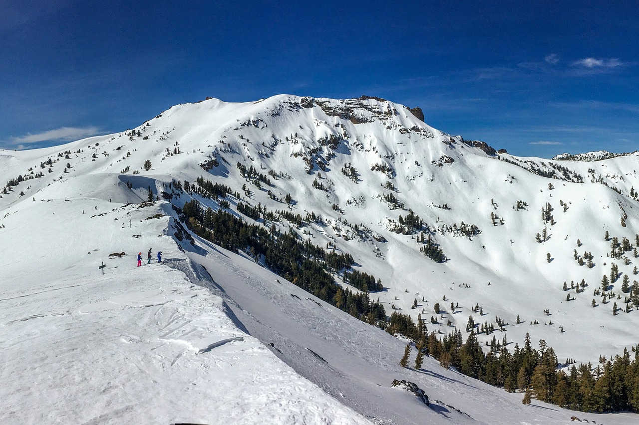 An expert skier making turns through deep, ungroomed powder snow