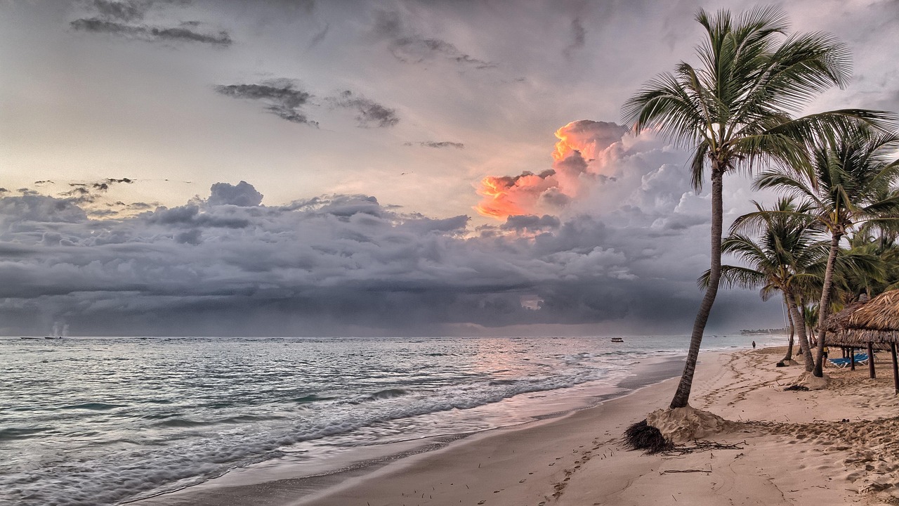 Pristine white sand beach with leaning palm trees and crystal clear turquoise water