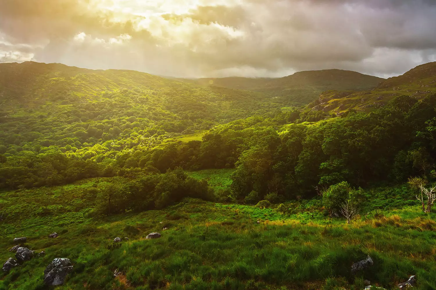 Misty mountain peaks and green hills during sunrise in County Kerry, Ireland.