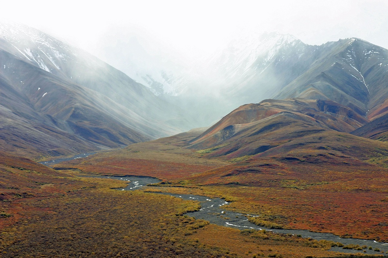 The vast Alaskan tundra covered in bright red and orange autumn foliage.