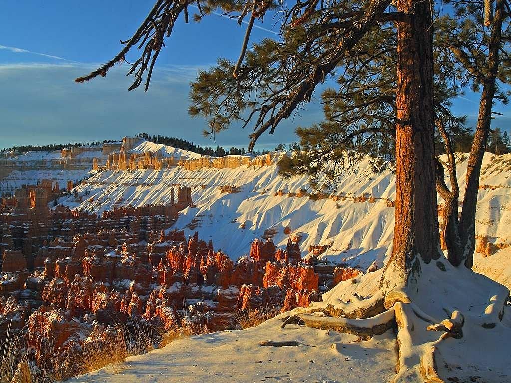 Sandstone hoodoos covered in fresh white snow under a clear blue sky.