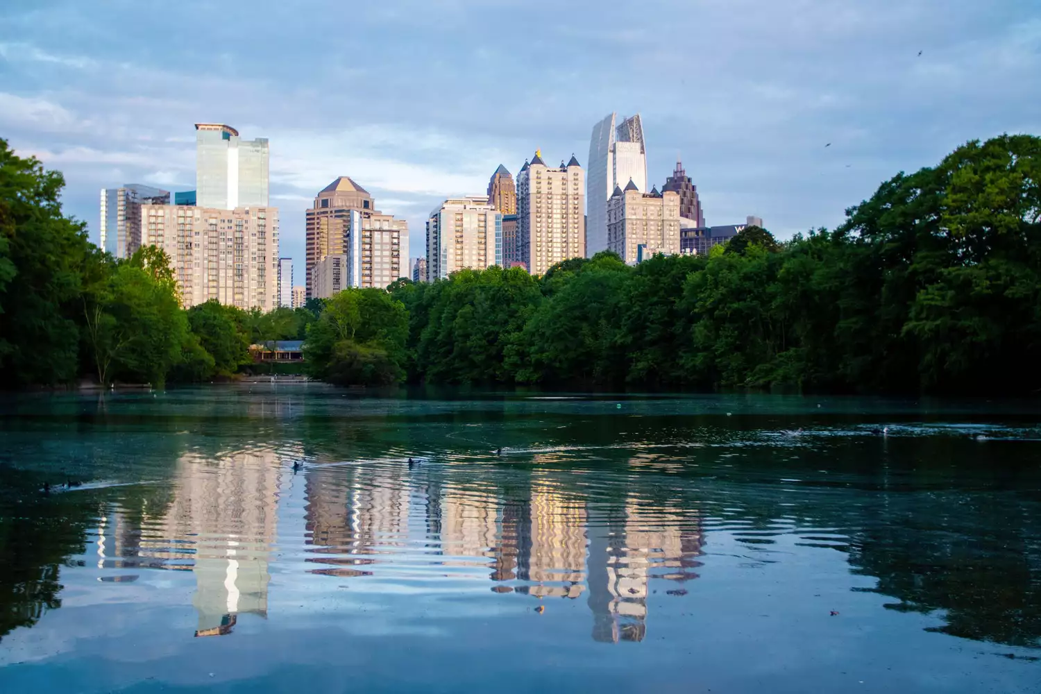 View of the Atlanta city skyline from the green lawn of Piedmont Park.