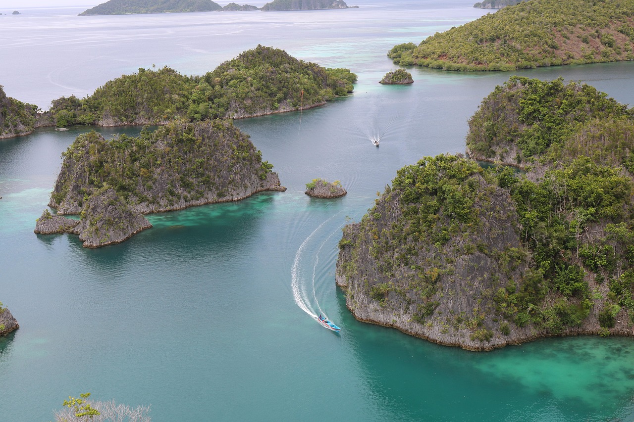Densely packed coral and school of fish in Indonesia
