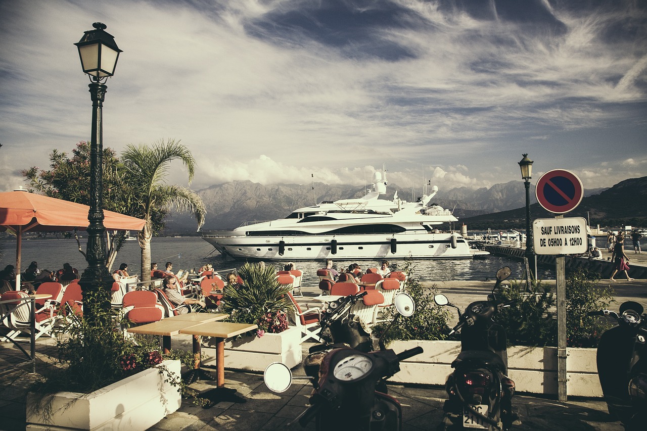 Luxury yachts docked at a modern marina with palm trees