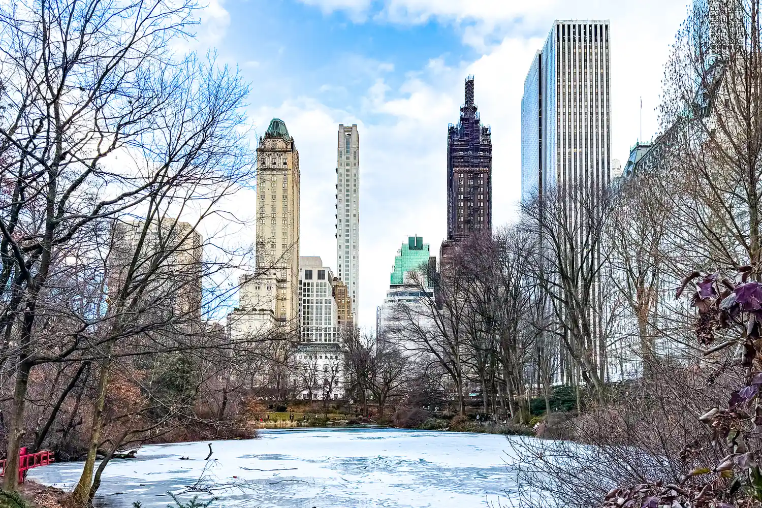 Winter view of Central Park in New York City with a frozen pond and snow-covered paths.
