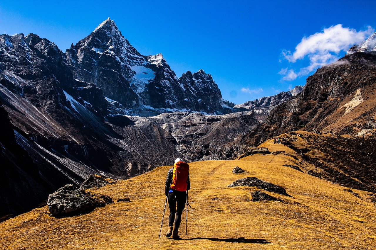 A hiker wearing a backpack and jacket standing on a trail looking out over a colorful valley.