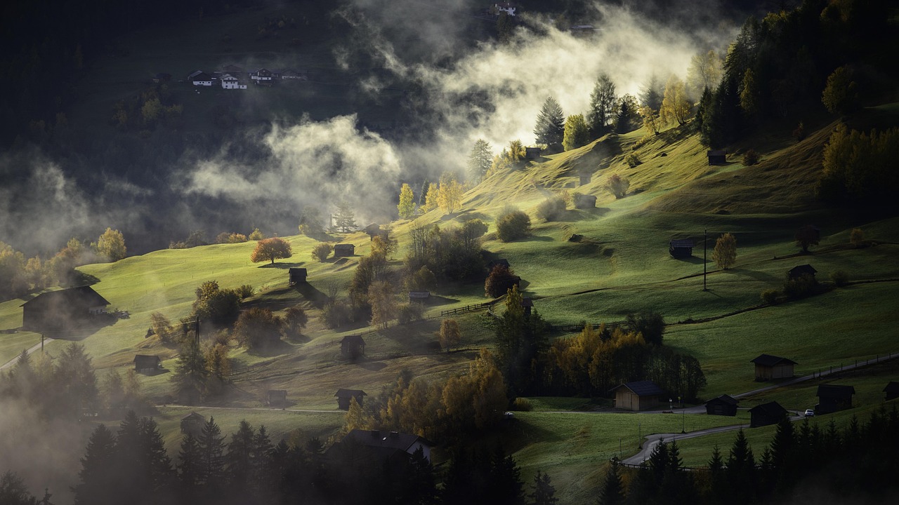 A vast valley filled with a soft blue atmospheric haze above a dense eucalyptus forest.