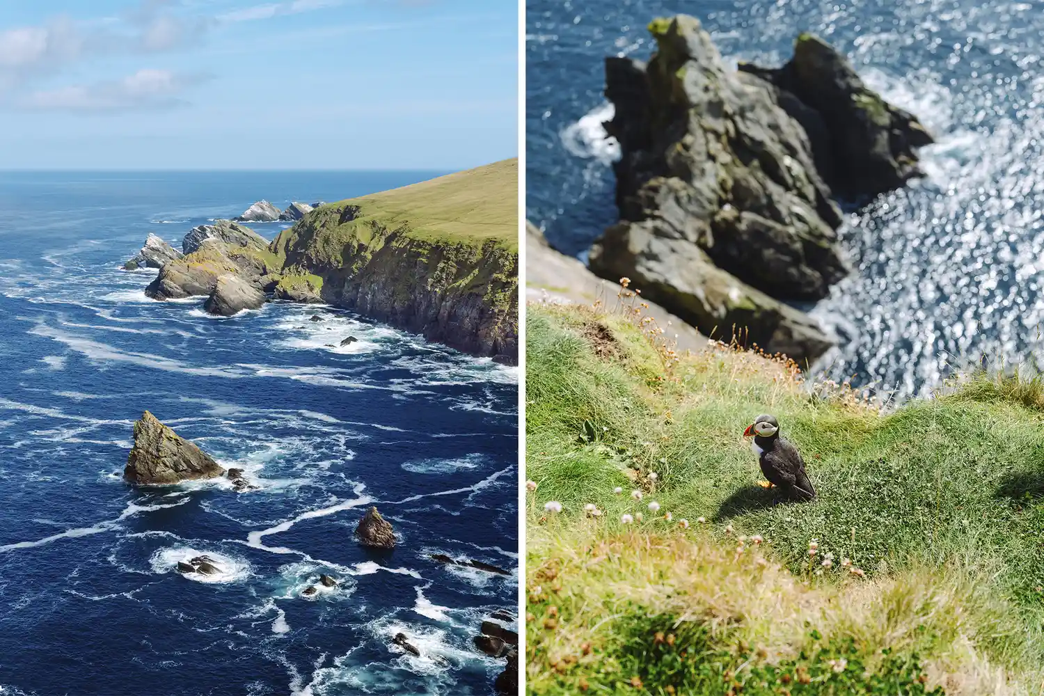 A puffin perched on a grassy cliff edge with rugged sea stacks and ocean in the background.