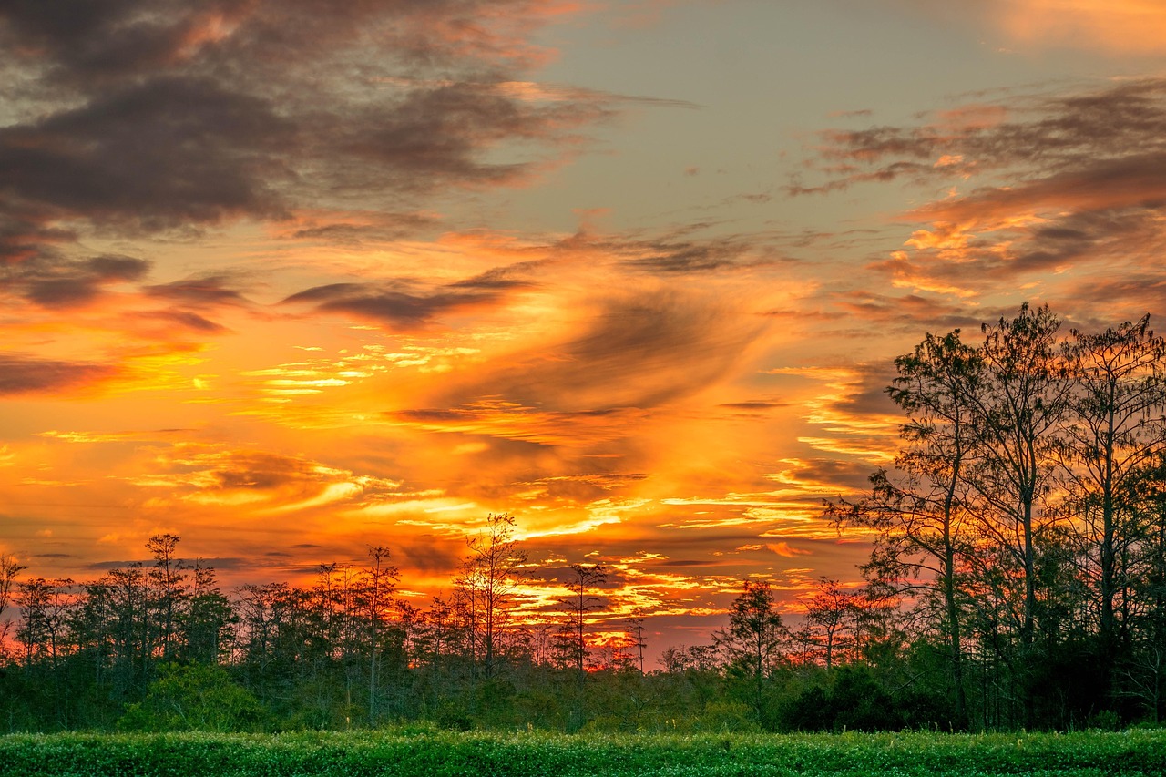 An airboat gliding through the tall grasses and waterways of the Florida Everglades.