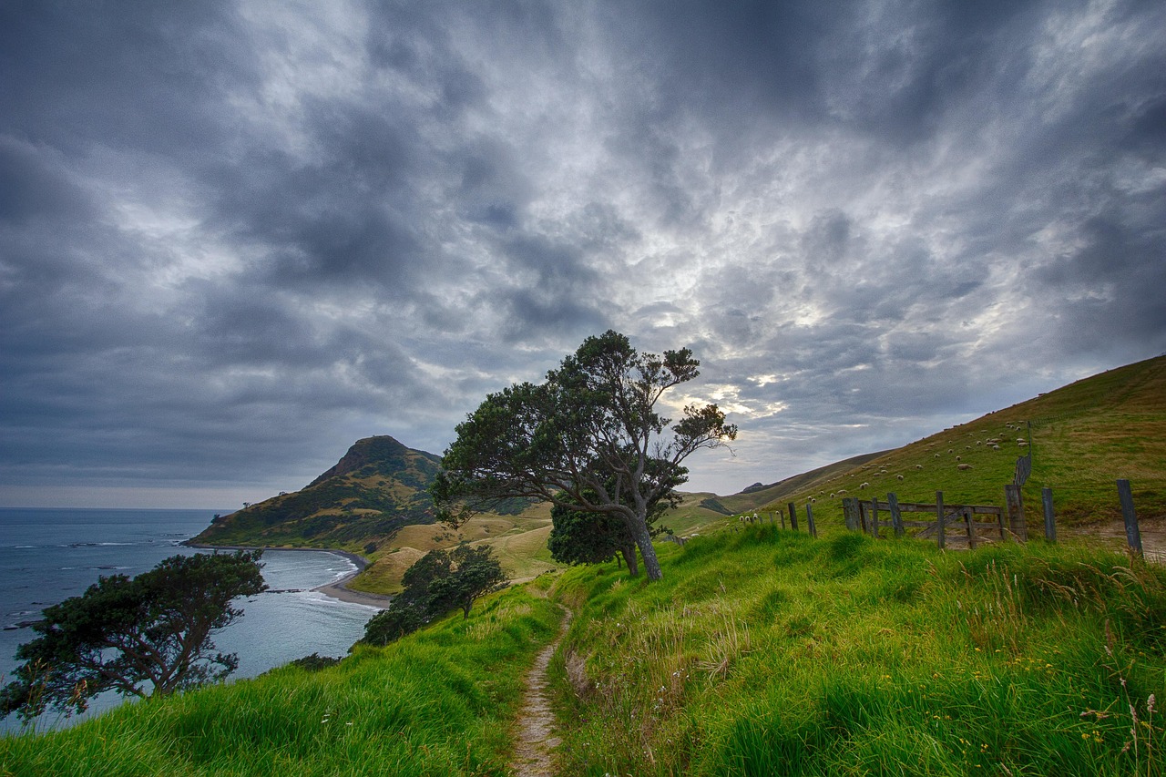 A modern hiking trail winding along the edge of a dramatic sandstone cliff.