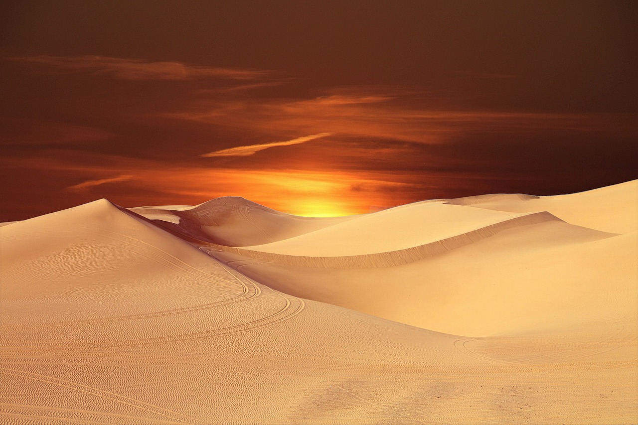 Cape May beach at sunset during autumn with golden light