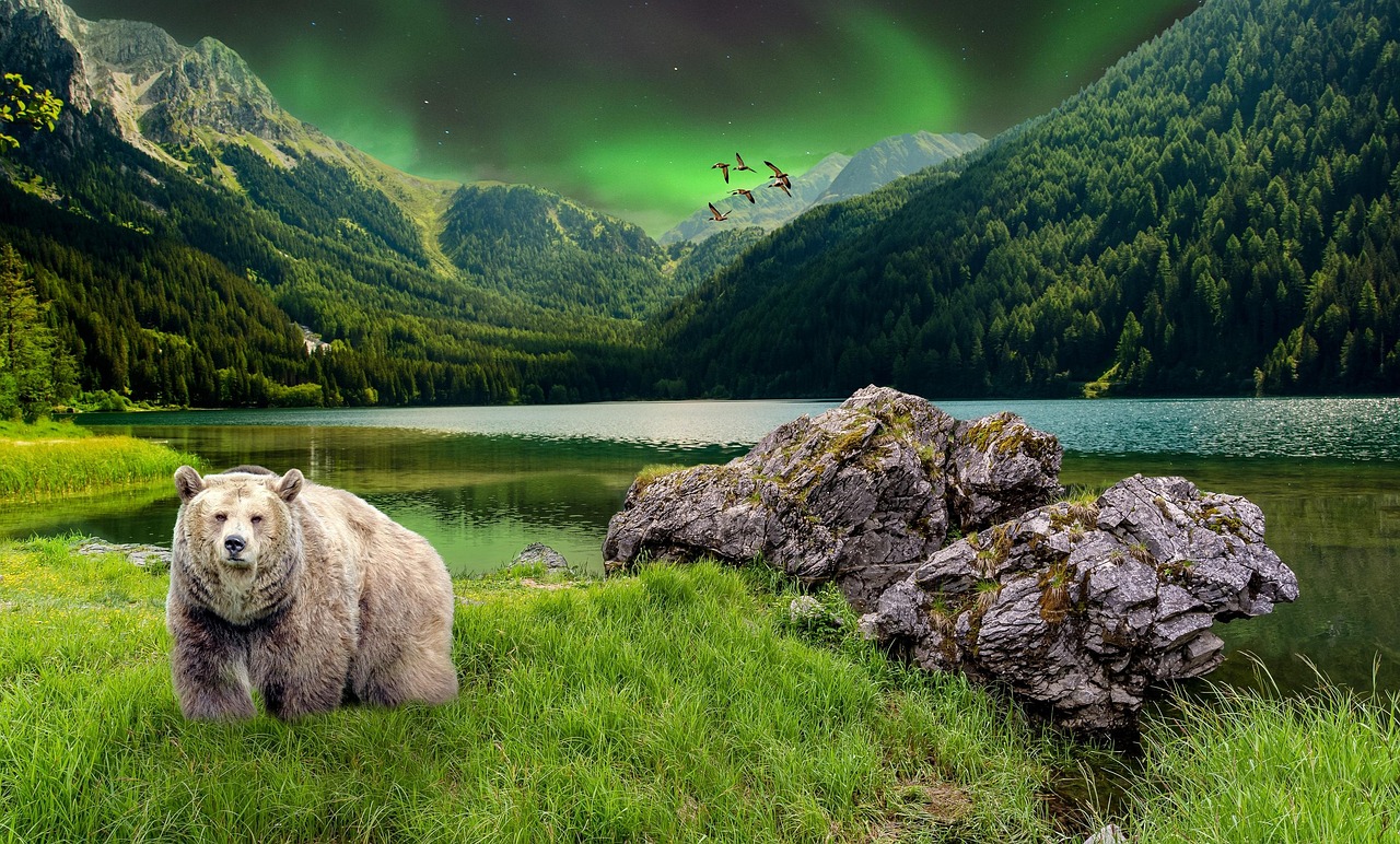 Panoramic view of Bear Lake surrounded by pine trees and mountain peaks