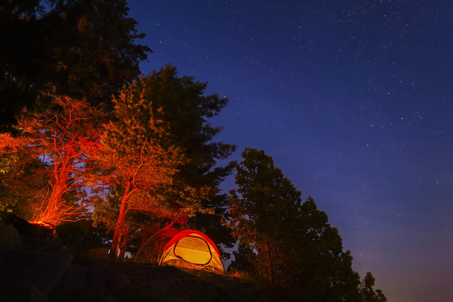 An illuminated tent glow against the dark silhouette of trees under a starry night sky in Acadia.