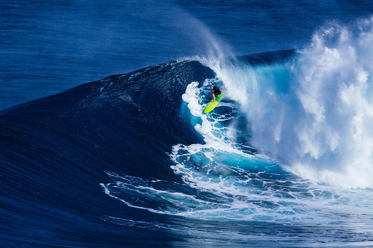 Surfers catching gentle waves at a sunny Australian beach