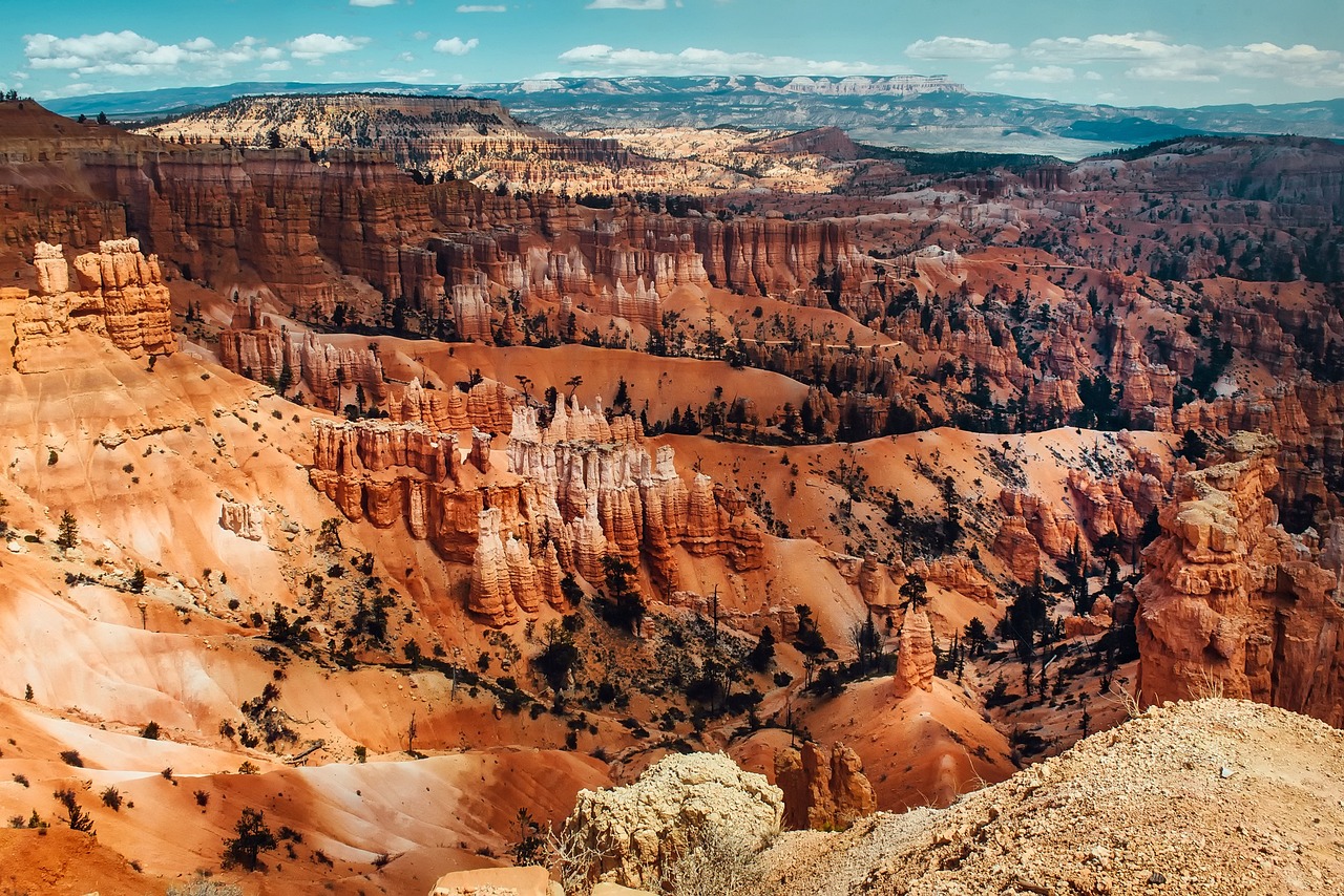 Tall, thin spires of rock called hoodoos standing in Bryce Canyon National Park.