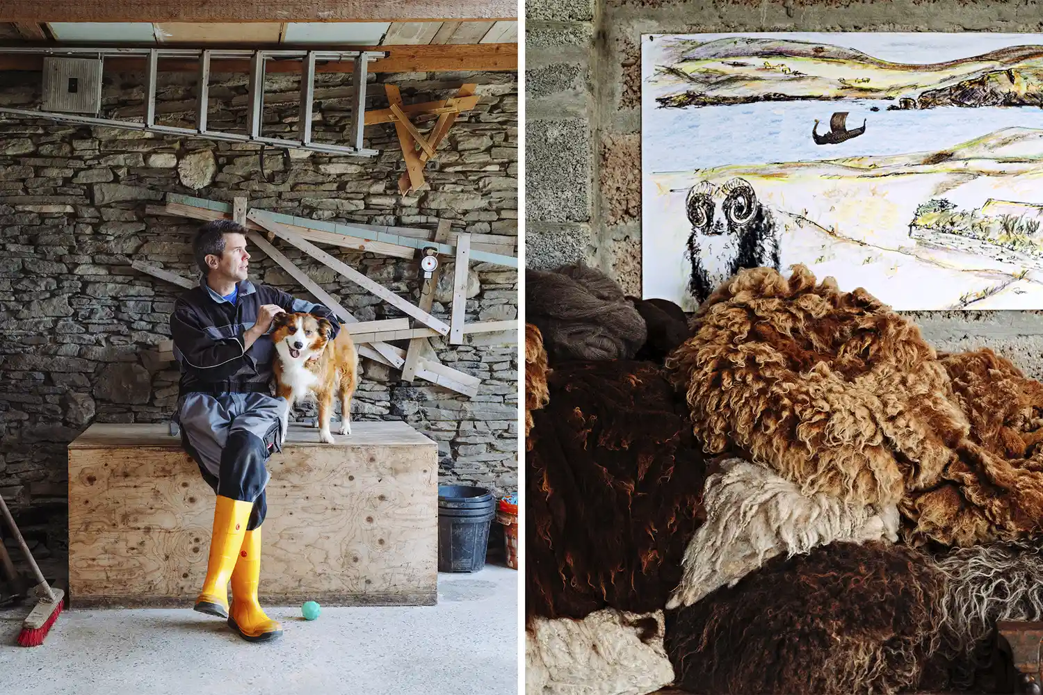 A man and his dog sitting near a pile of raw sheep fleeces at a farm.