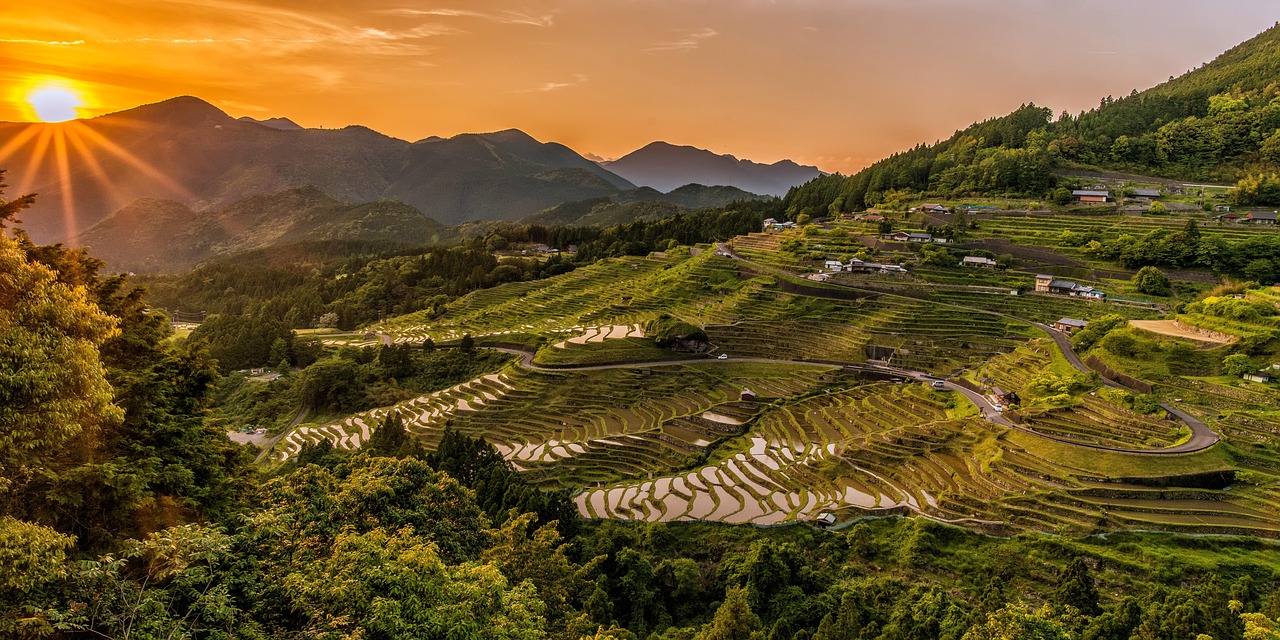Glowing green rice terraces in Ubud, Bali during a golden sunset.