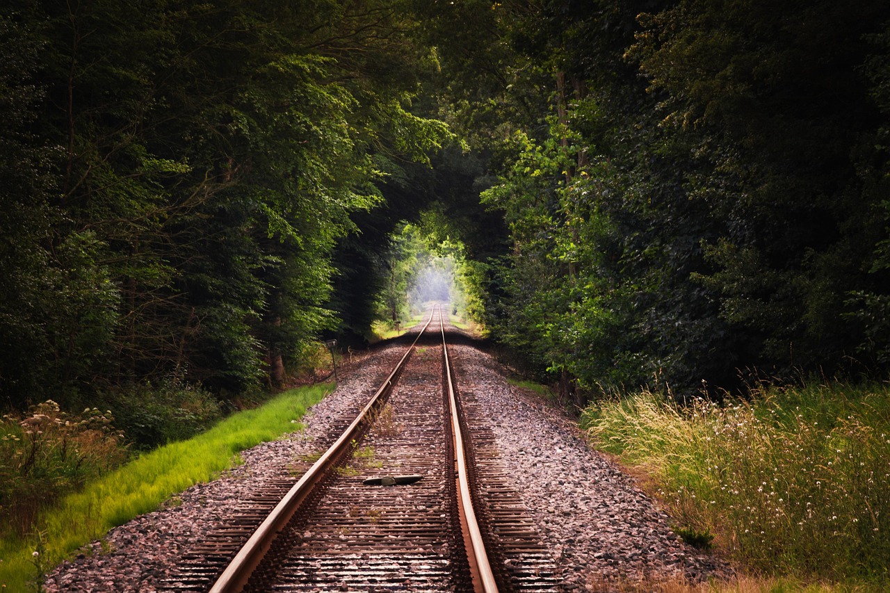 A red mountain train descending a nearly vertical track through a lush forest canopy.