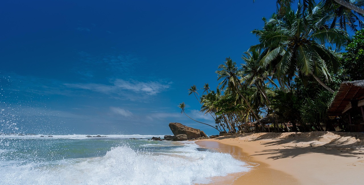 Sunny tropical beach with palm trees and calm ocean waves